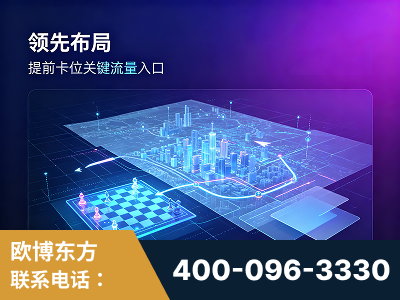 怒江-领先布局：于2024年初开启GEO业务的公司